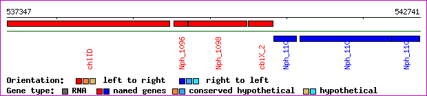 gene map