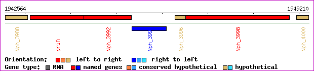 gene map