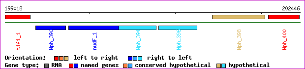 gene map