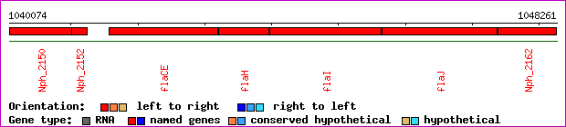 gene map