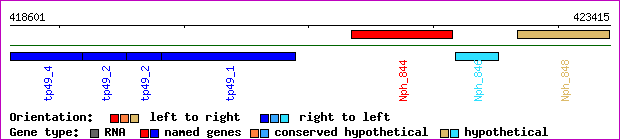 gene map