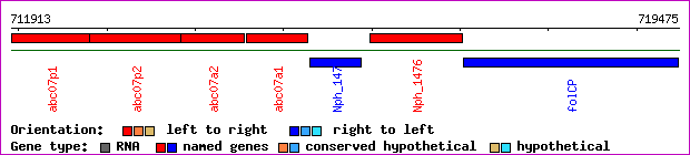 gene map