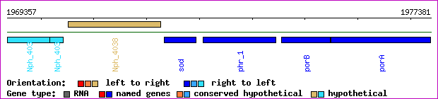 gene map
