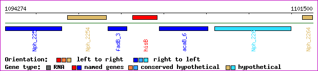 gene map