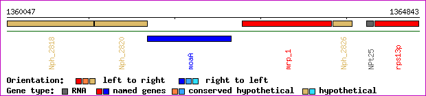 gene map