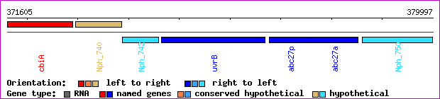 gene map