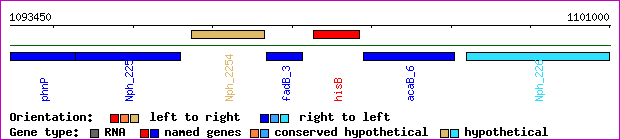 gene map