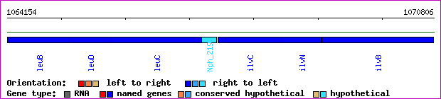 gene map