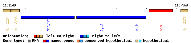 gene map