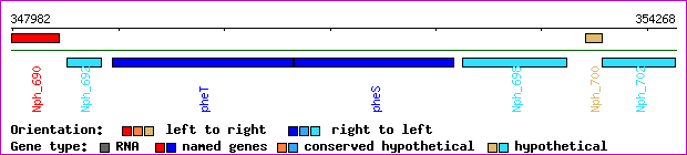 gene map