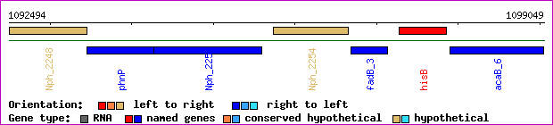 gene map