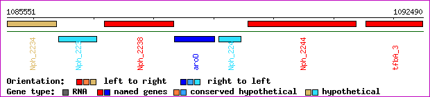 gene map