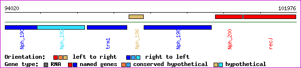 gene map