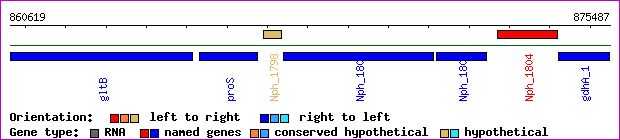 gene map