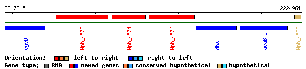 gene map