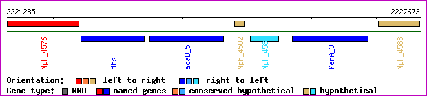 gene map