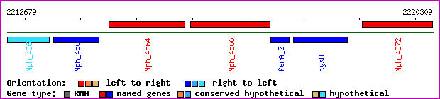 gene map