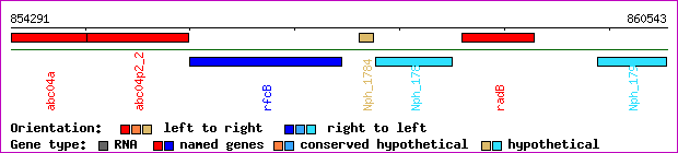 gene map