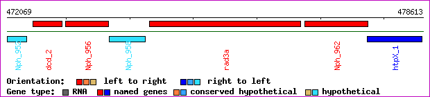 gene map