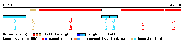 gene map
