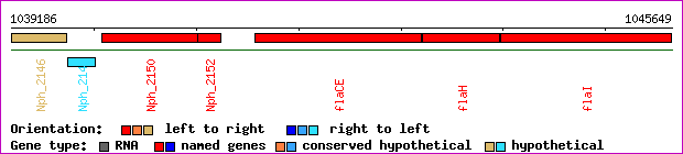 gene map
