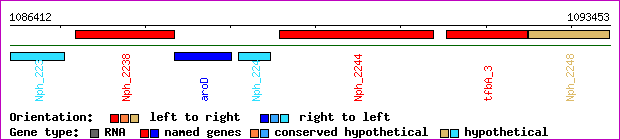 gene map