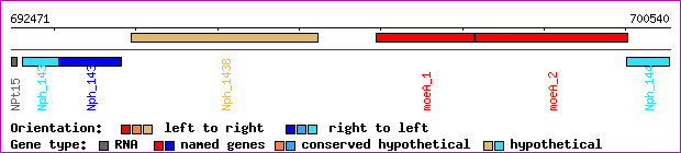 gene map