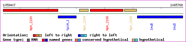 gene map