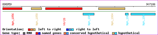 gene map