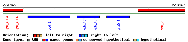 gene map