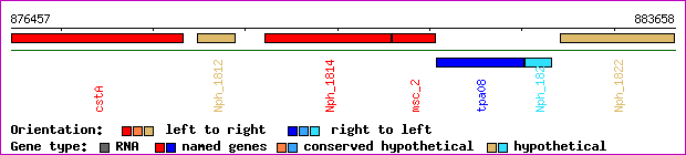 gene map