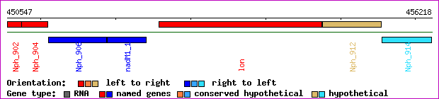 gene map