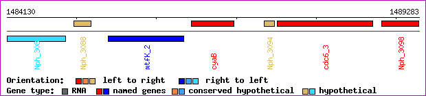 gene map