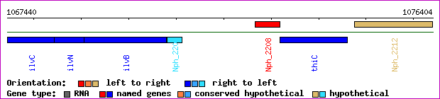 gene map