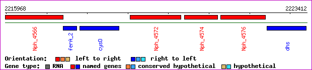 gene map