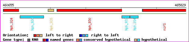 gene map