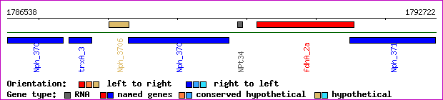 gene map