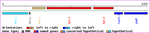 gene map