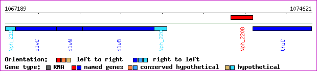 gene map