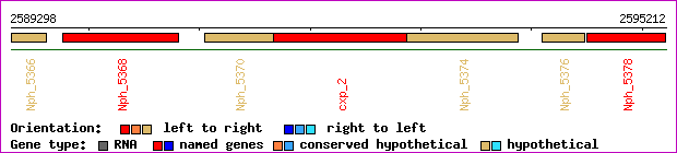 gene map