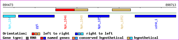 gene map