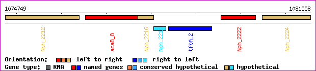 gene map