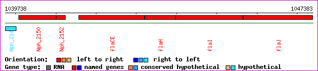gene map