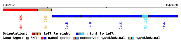 gene map