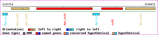 gene map